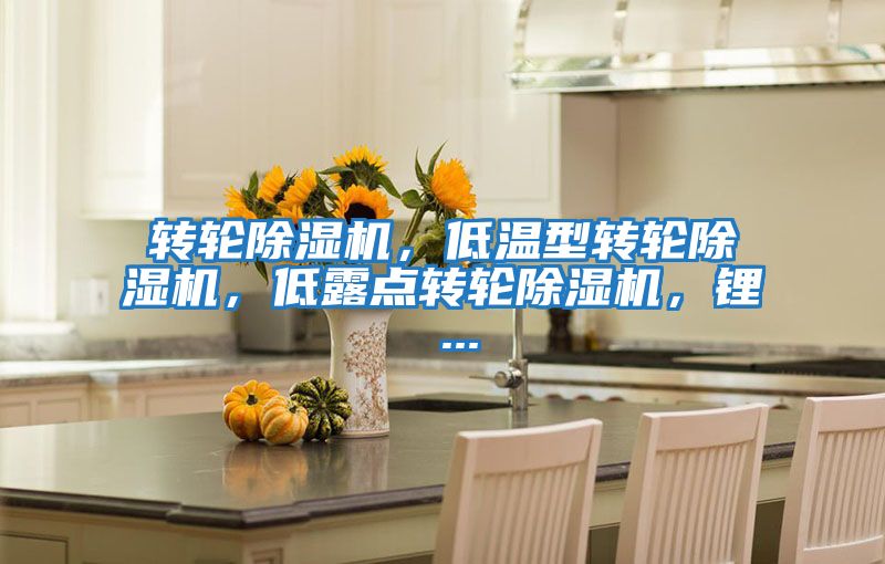轉(zhuǎn)輪除濕機(jī),低溫型轉(zhuǎn)輪除濕機(jī),低露點(diǎn)轉(zhuǎn)輪除濕機(jī),鋰 ...