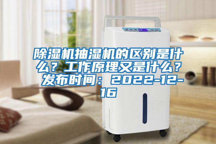 除濕機抽濕機的區別是什么？工作原理又是什么？ 發布時間：2022-12-16