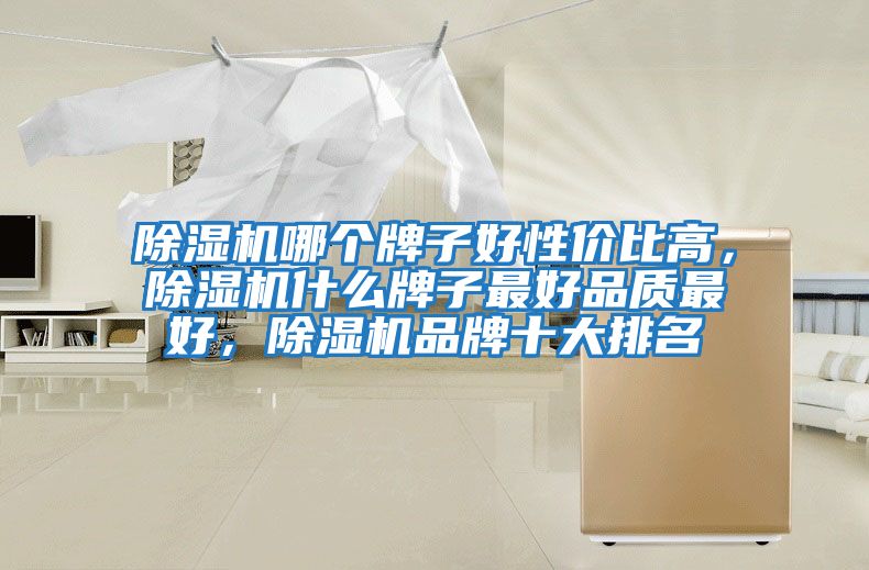 除濕機哪個牌子好性價比高，除濕機什么牌子最好品質最好，除濕機品牌十大排名