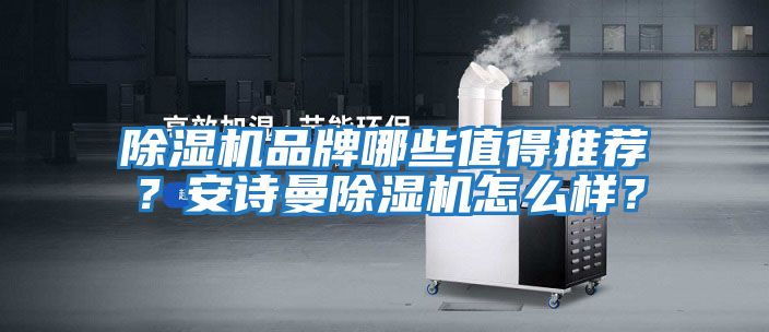 除濕機品牌哪些值得推薦?安詩曼除濕機怎么樣?