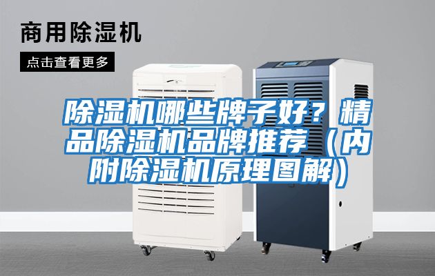 除濕機哪些牌子好?精品除濕機品牌推薦(內附除濕機原理圖解)