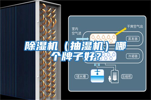 除濕機(jī)(抽濕機(jī))哪個牌子好?
