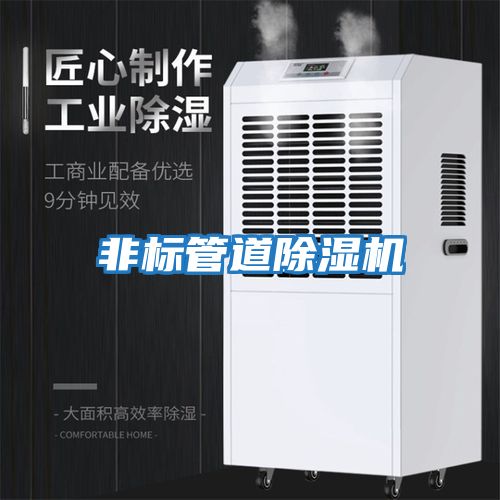 非標管道除濕機