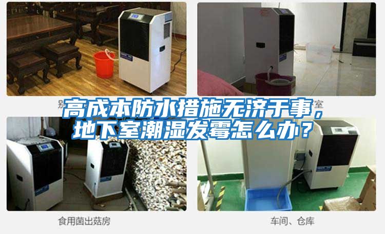 高成本防水措施無濟于事，地下室潮濕發(fā)霉怎么辦？