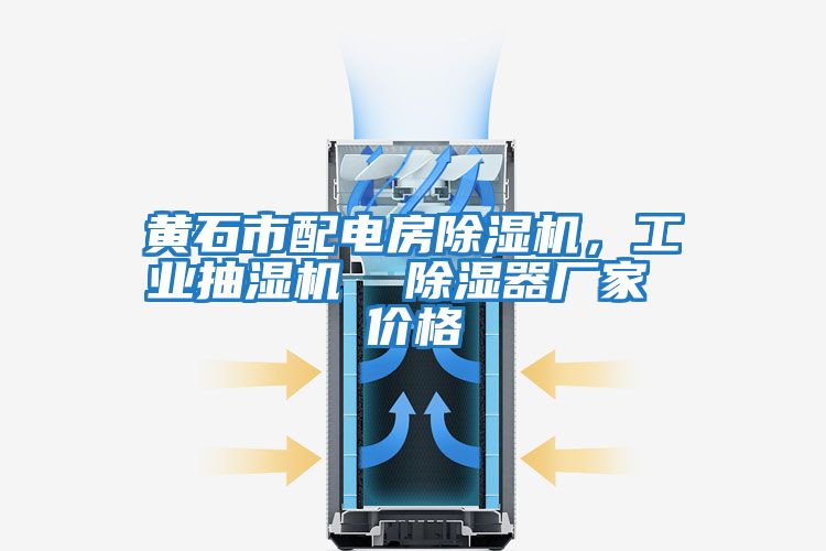 黃石市配電房除濕機，工業抽濕機  除濕器廠家 價格