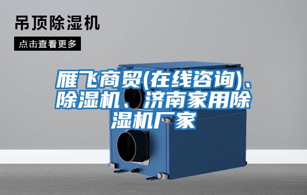 雁飛商貿(mào)(在線咨詢(xún))、除濕機(jī)、濟(jì)南家用除濕機(jī)廠家