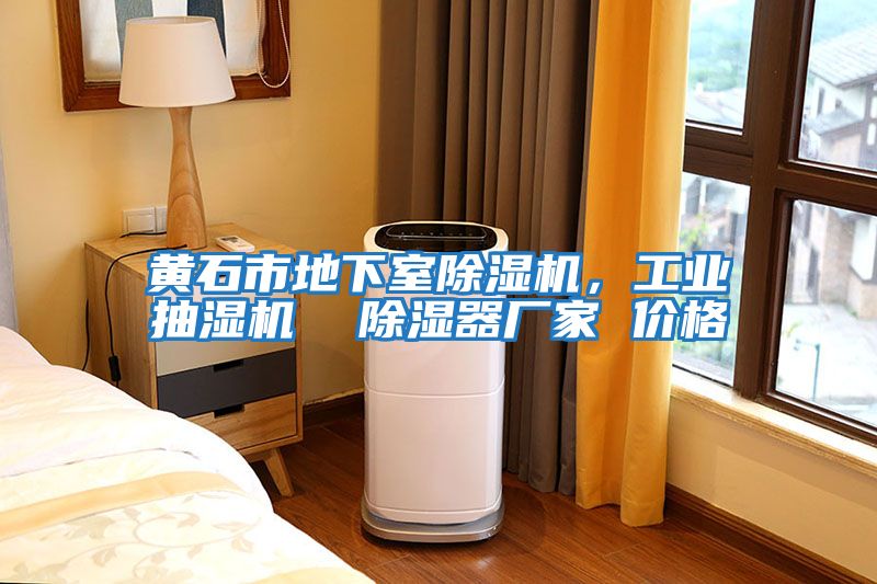 黃石市地下室除濕機，工業抽濕機  除濕器廠家 價格